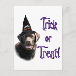 Carte Postale Trick Labrador Retriever (chocolat)