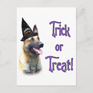 Carte Postale Trick Malinois