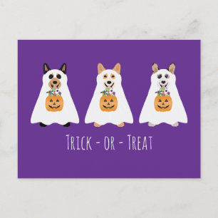 Carte Postale Trick Ou Treat Corgi Ghost Dogs Halloween