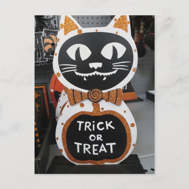 Carte Postale Tricoter Ou Traiter Un Chat (Devant)
