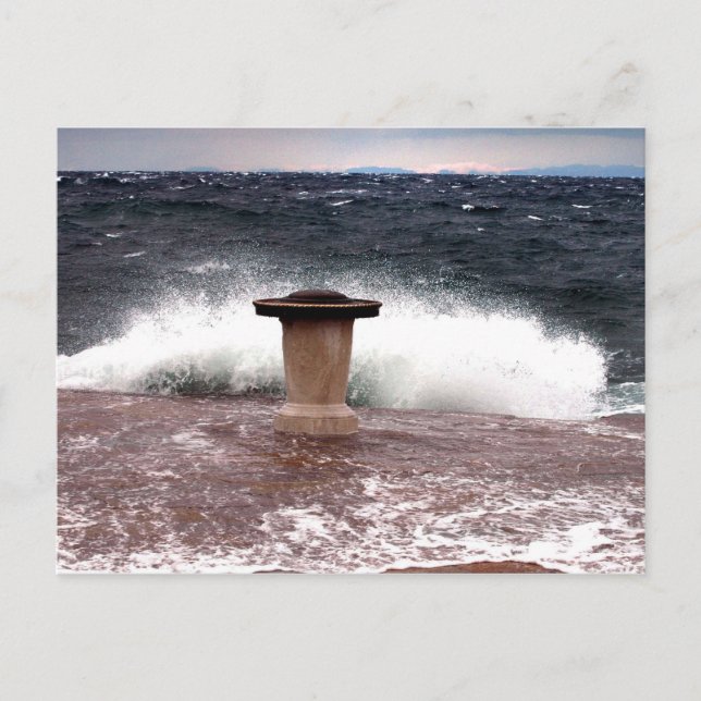 Carte Postale trieste molo audace (Devant)