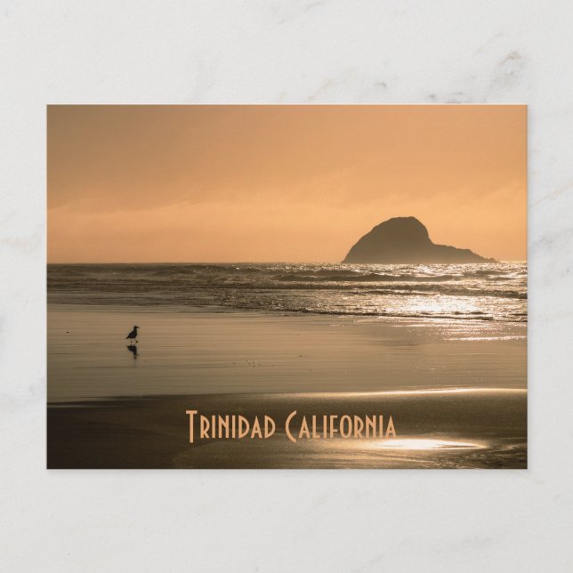 Carte Postale Trinidad Californie (Devant)