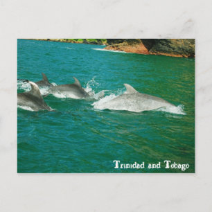 Carte Postale Trinité-et-Tobago