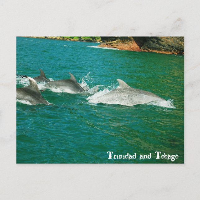 Carte Postale Trinité-et-Tobago (Devant)