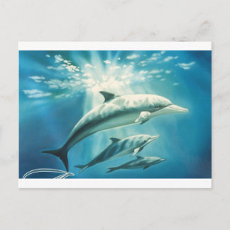Carte Postale Trio dauphin