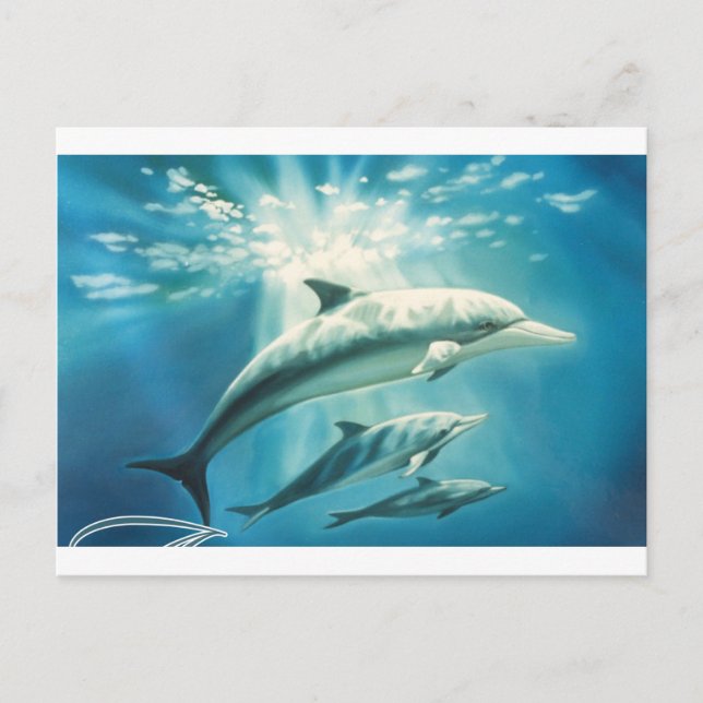 Carte Postale Trio dauphin (Devant)