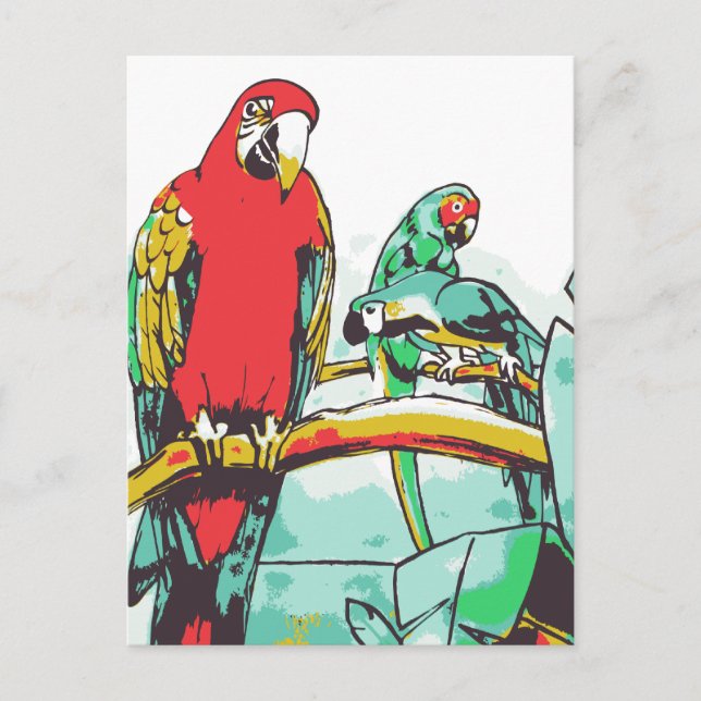 Carte Postale Trio de perroquets (Devant)