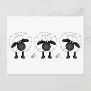 Carte Postale Trio des moutons