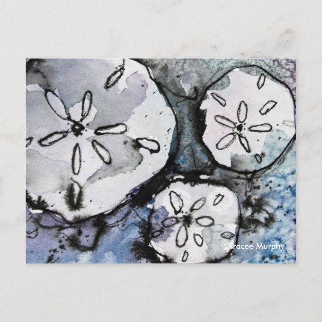 Carte Postale Trio du dollar de sable (Devant)