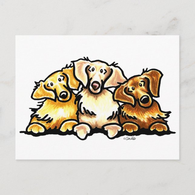 Carte Postale Trio Golden Retriever (Devant)