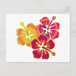 Carte Postale trio hibiscus