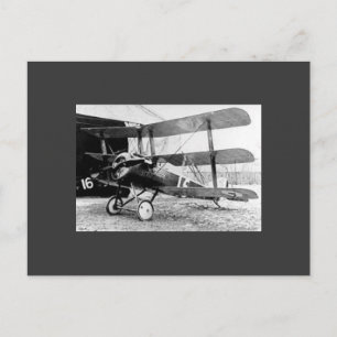 Carte Postale Triplan Sopwith