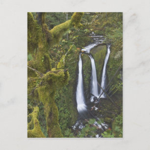 Carte Postale Triple Falls, gorge de Columbia