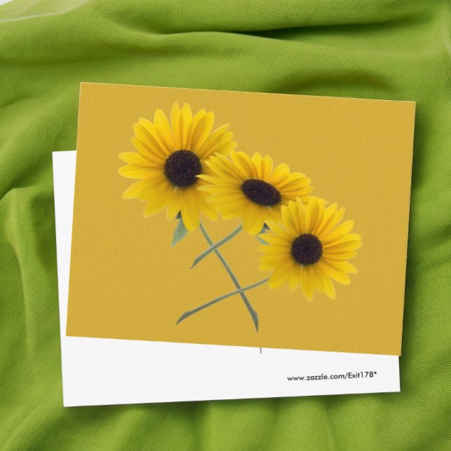 Carte Postale Triple Tournesol Ajoutez votre photo personnalisée (sunflower photo postcard front and blank back)
