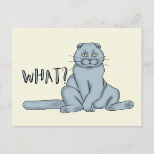 Carte Postale Triste chat - quoi ?