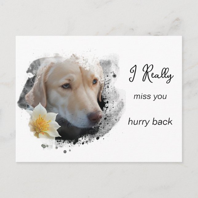 Carte Postale *~ Triste Chien AP61 Fleur Tu Me Manques Dépêche-T (Devant)