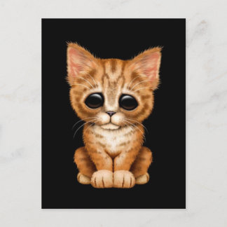 Carte Postale Triste Tabby Kitten Orange Tabat sur Noir