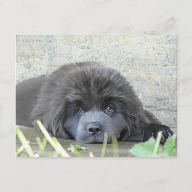 Carte Postale Tristes yeux (Devant)