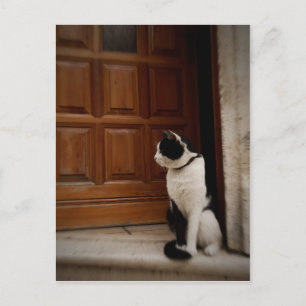 Carte Postale Trogir 16