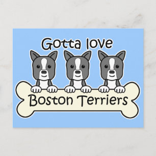 Carte Postale Trois Boston Terriers