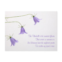 Trois campanules photo avec un poème