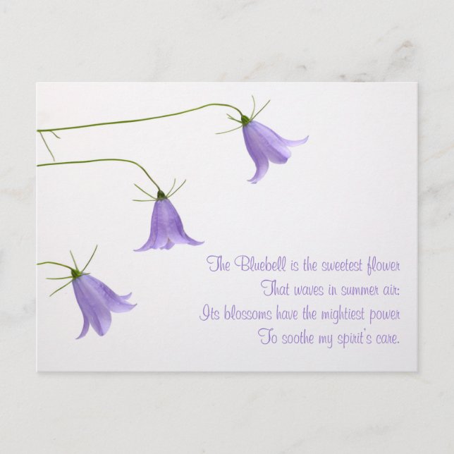 Carte Postale Trois campanules photo avec un poème (Devant)