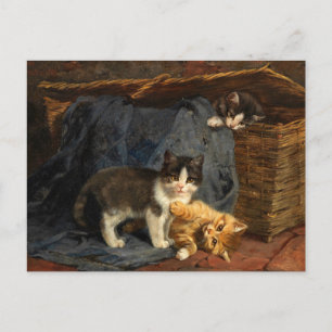 Carte Postale Trois chatons   Julius Adam le Jeune