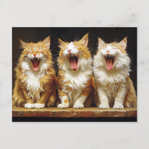 Carte Postale Trois Chats Blancs Orange Drôle Chantant