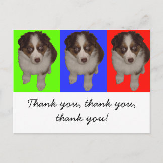 Carte Postale Trois Chiots rouges Aussie Tri