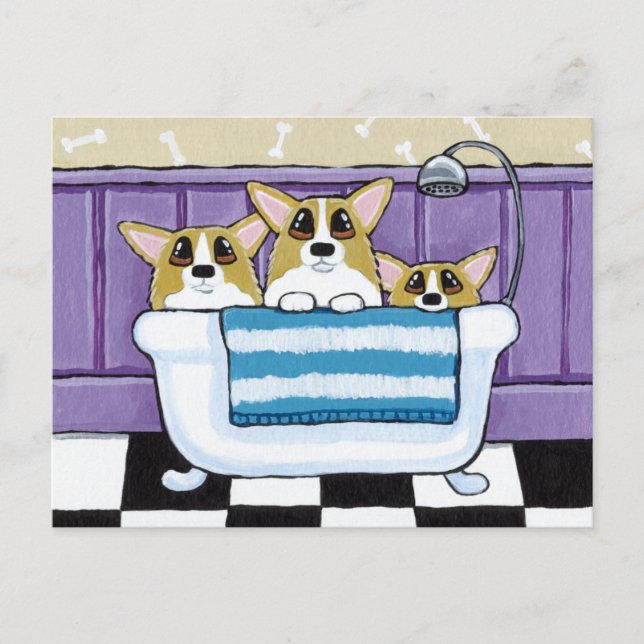 Carte Postale Trois Corgis dans la baignoire (Devant)