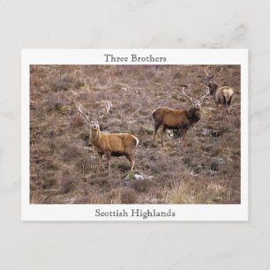 Carte Postale Trois frères, Scottish Highlands