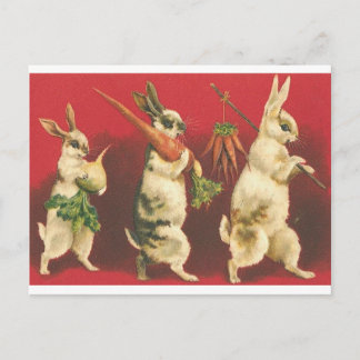 Carte Postale Trois lapins