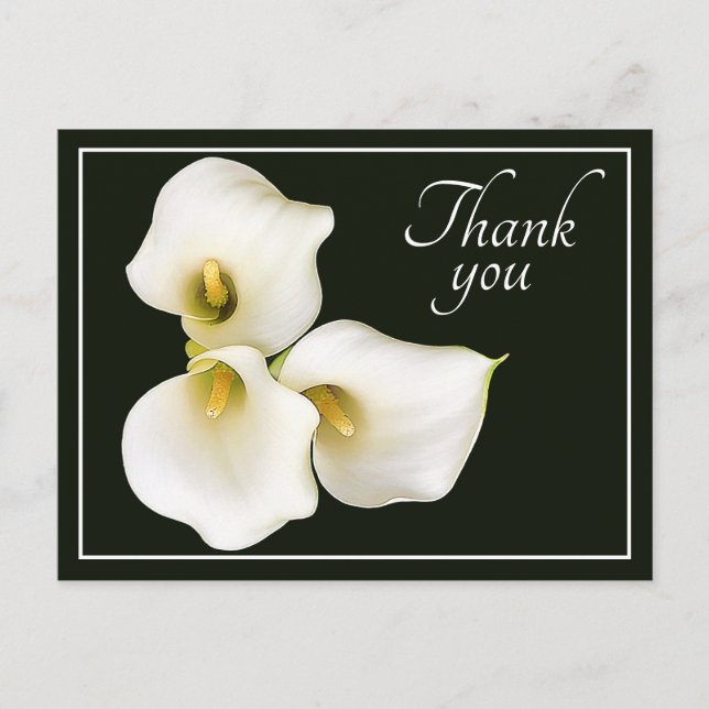 Carte Postale Trois Lys Calla blancs Merci de fond noir (Devant)