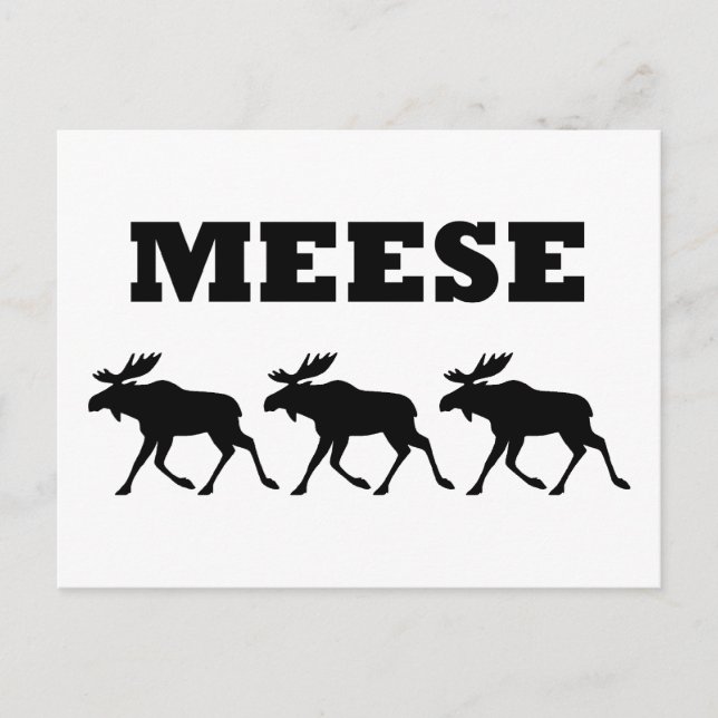 Carte Postale Trois Meese drôle (Devant)