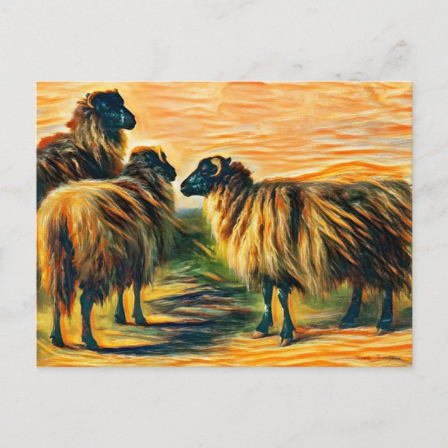 Carte Postale Trois moutons (Devant)