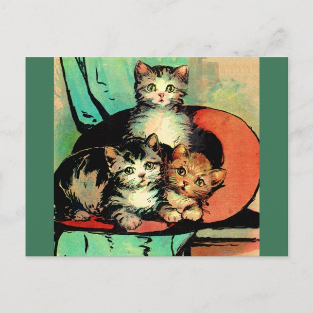 Carte Postale trois petits chatons (Devant)