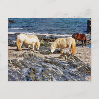 Carte Postale Trois Ponts De Shetland Sur La Plage Du Dévon Sud 