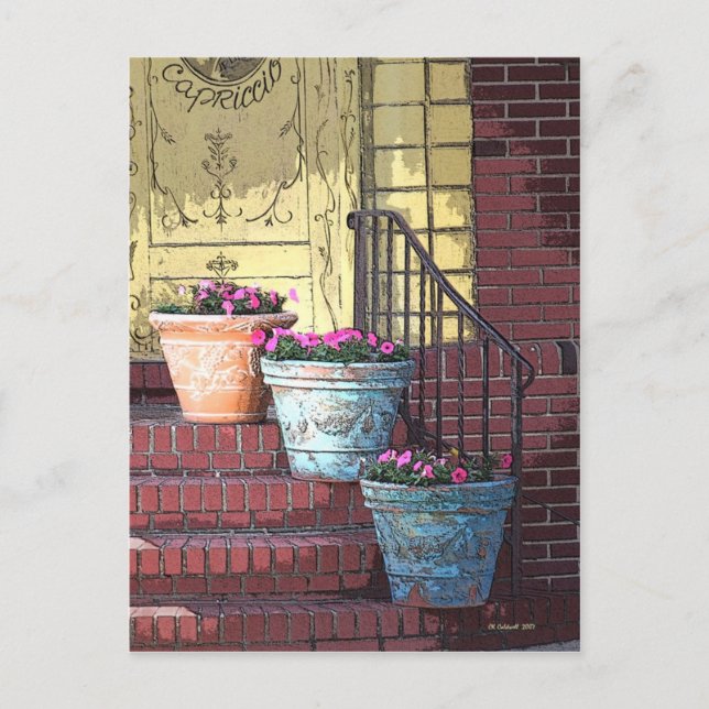 Carte Postale Trois Pots À Fleurs (Devant)