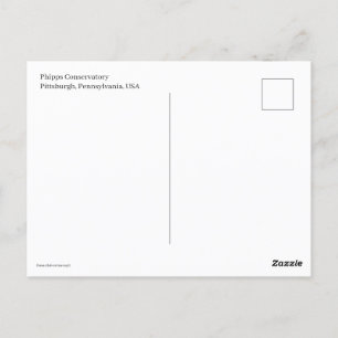 Carte Postale Trolly miniature