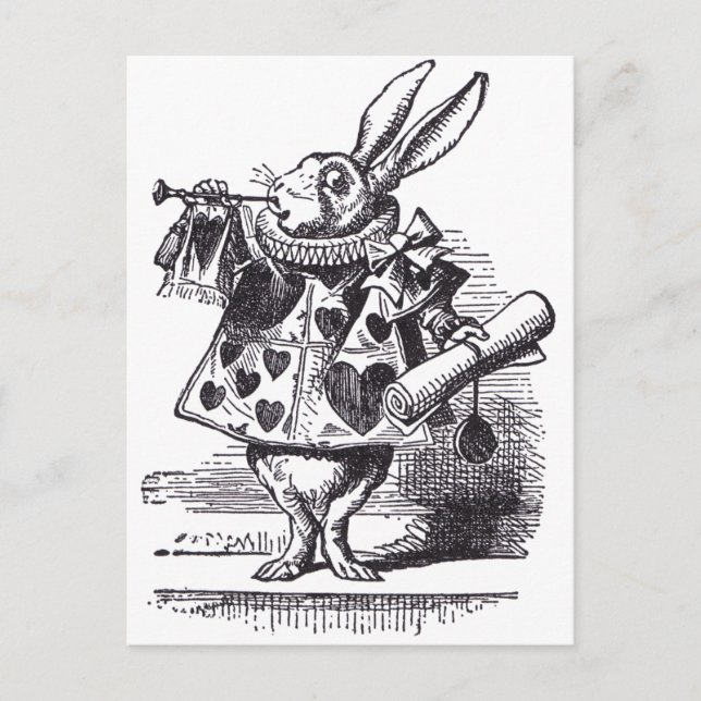 Carte Postale Trompette de lapin blanc (Devant)