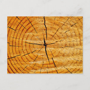 Carte Postale Tronc d'arbre