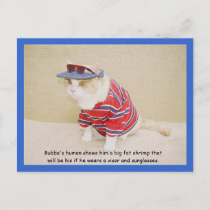 Carte Postale Trop Cool Bubba Kitty