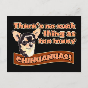 Carte Postale "Trop de Chihuahuas"