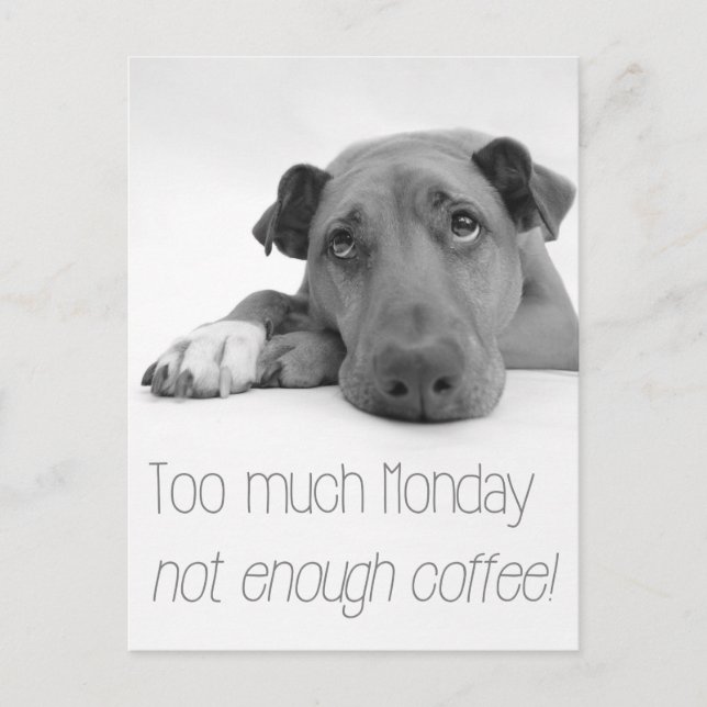 Carte Postale Trop de lundi, pas assez de café - Chien endormi (Devant)