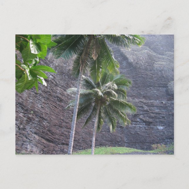 Carte Postale Tropical (Devant)