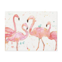 Tropical | Gathering of Flamingos
