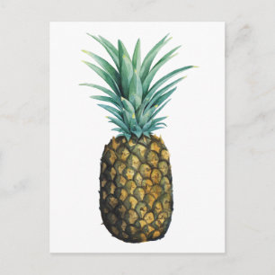 Carte Postale Tropical Pineapple Watercolor
