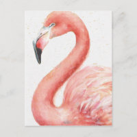 Tropical | Pink Flamingo