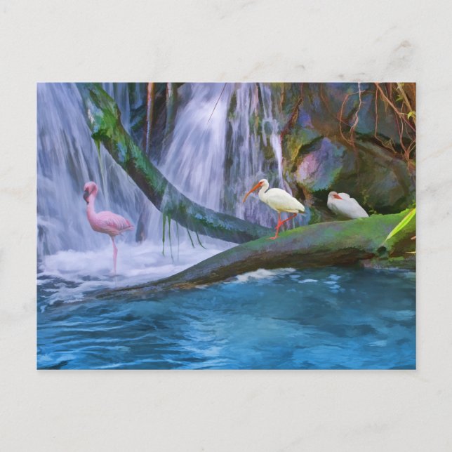 Carte postale Tropical Waterfall (Devant)
