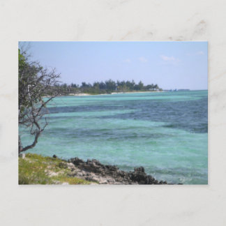 Carte postale tropicale